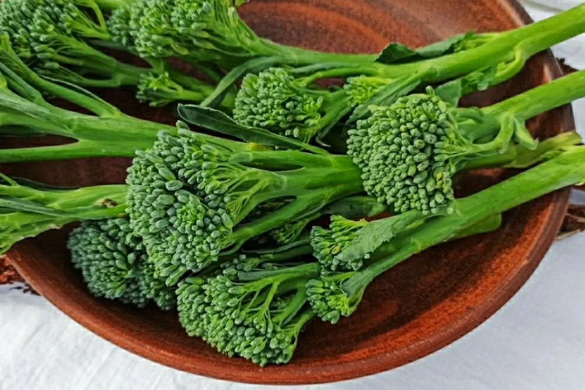 What Is Crocolini? Origins and Botanical Background