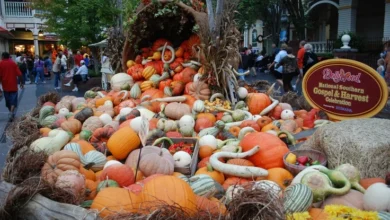 Dollywood Thanksgiving Crowds
