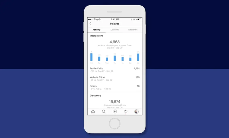 Instatroid: The Truth Behind the Instagram Analytics App