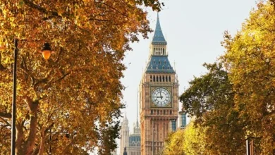 AutumnMLondon