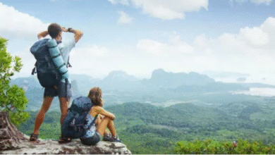 The Most Beautiful Places to Visit in Stratford upon Avon in One Day