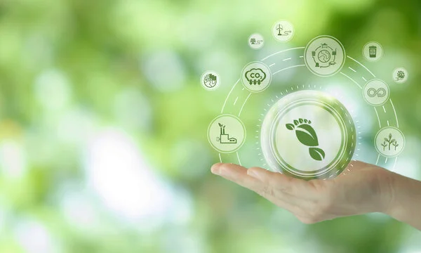Holisticke: A Modern Path to Wholeness & Well-Being
