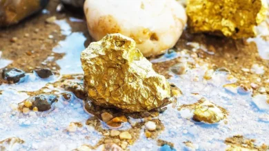Maria Geralda High-Grade Gold Deposit