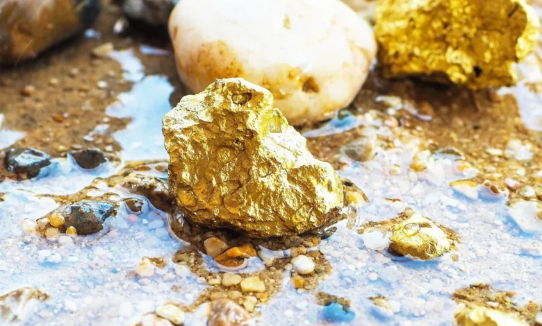 Maria Geralda High-Grade Gold Deposit