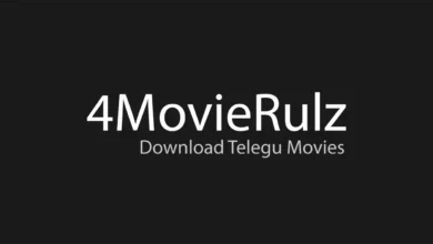 What Is Mov8erulz / Movierulz?
