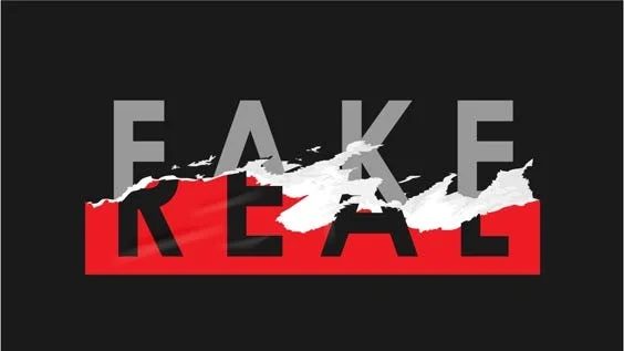 Onehourtranslation is Real or Fake