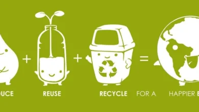 Simple Habits That Reduce Environmental Harm