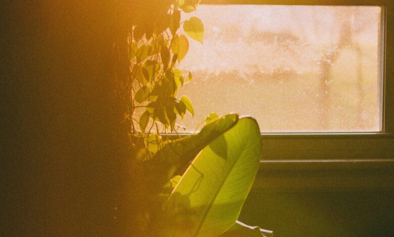 How our environment shapes who we are