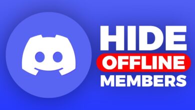 Offline vs Online Discord Members: Which One Should You Buy in 2025?