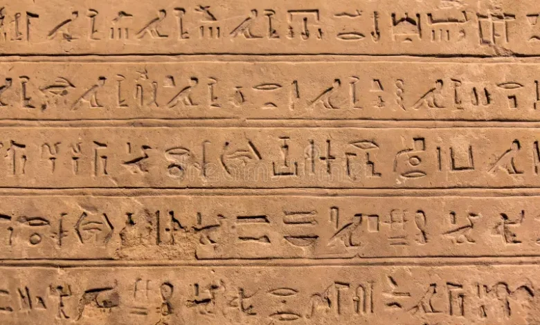 Shropadis: Meaning, Online Trend, and Its Link to Modern Podiatry