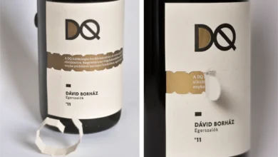 David Borház: History, Wines, Vineyard Tradition, and Online Presence