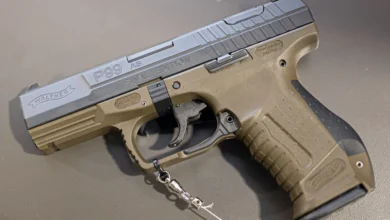 P99 Warrior Guide: Best Practices, Leveling Tips, Gear, Aggro Control