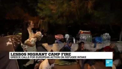 What Do You Call a Lesbian on Fire?