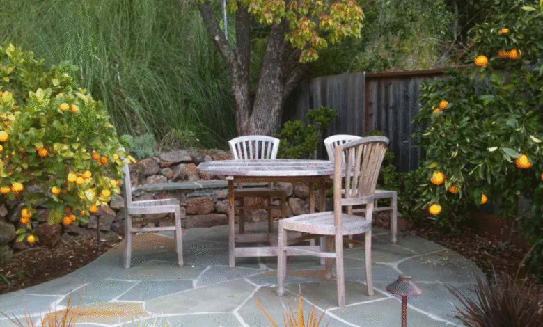 Fruit Trees vs Decorative Trees: Which Should You Plant?