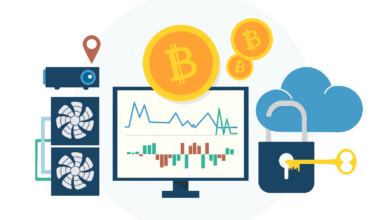 Tips for Building a Diversified Crypto Portfolio