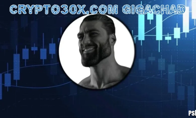Crypto30x.com Gigachad: The Complete 2026 Guide for US Crypto