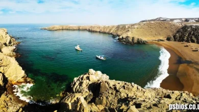 Caletas Peruanas Telegram