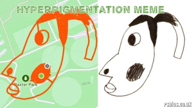 Hyperpigmentation Meme