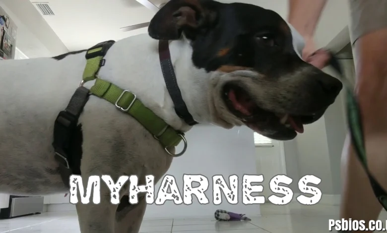 MyHarness (Walk Your Dog With Love) 2026