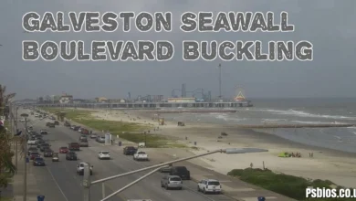 Galveston Seawall Boulevard Buckling