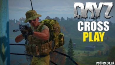 Is DayZ Crossplay in 2026? (US Guide) Everything You Need to Know
