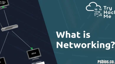CÑIMS: The Complete Guide to Coordinated Networked Intelligent