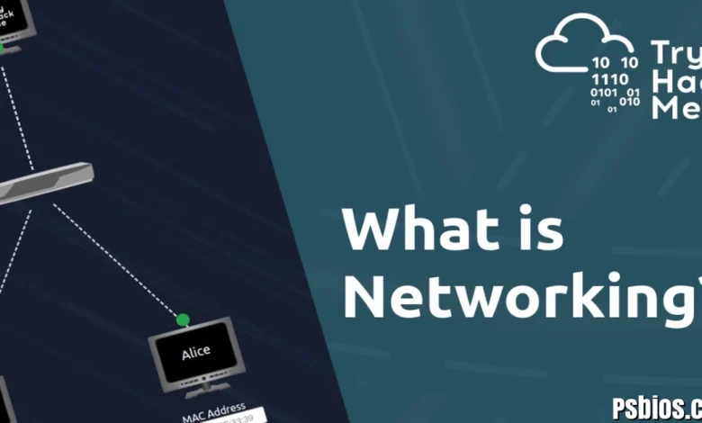 CÑIMS: The Complete Guide to Coordinated Networked Intelligent