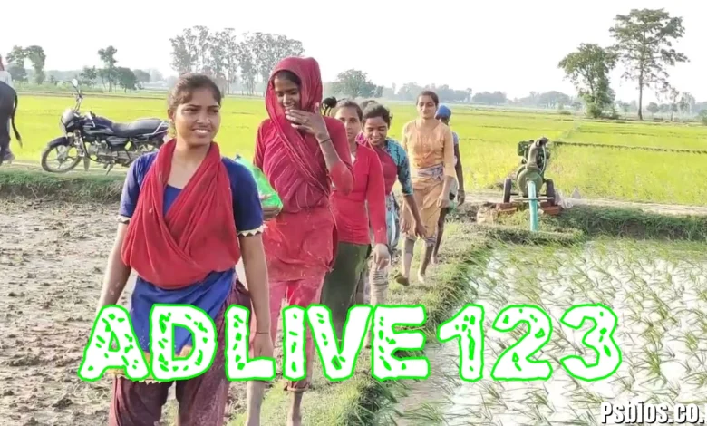 Adlive123 in India (2026): Complete Informative Guide, Background