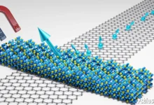 EMF CNF: The Future of Sustainable Electromagnetic Materials