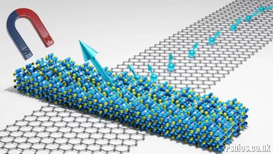 EMF CNF: The Future of Sustainable Electromagnetic Materials