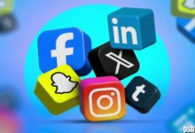 LKPRD: Understanding the Domains, Online Presence, and Safety Concerns