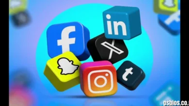 LKPRD: Understanding the Domains, Online Presence, and Safety Concerns