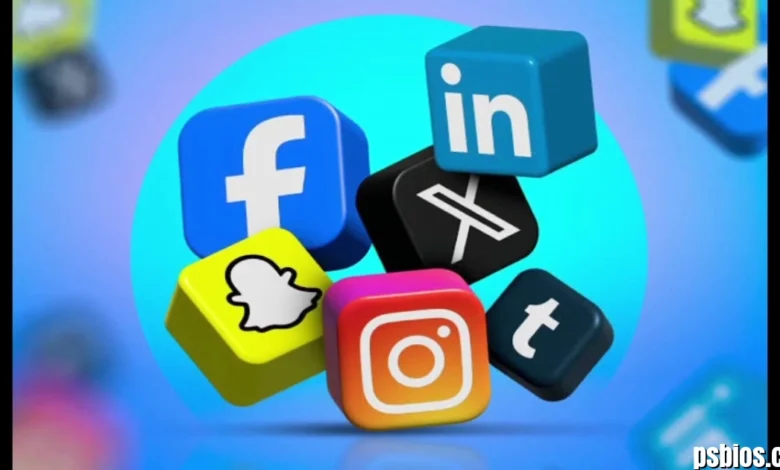 LKPRD: Understanding the Domains, Online Presence, and Safety Concerns