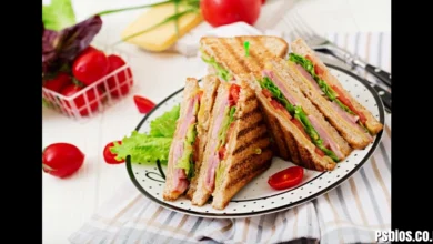 Toastul: The Meaning, Uses, and Rising Popularity