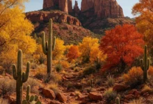 Arnold Falline Arizona: What We Know in 2026