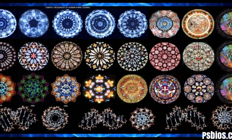 Celemony Separations Cymatics