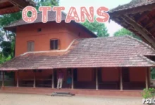 Ottans: Meaning, Grammar, and Usage in Swedish