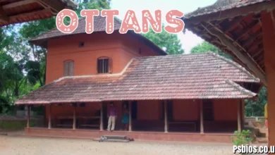 Ottans: Meaning, Grammar, and Usage in Swedish