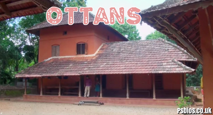 Ottans: Meaning, Grammar, and Usage in Swedish