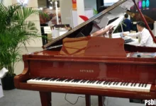 Poieno: Meaning, Origins, and Creative Philosophy