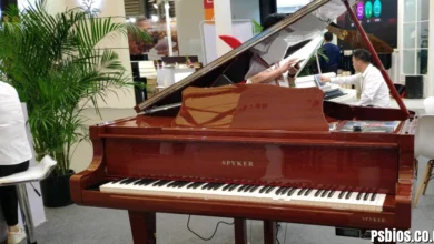 Poieno: Meaning, Origins, and Creative Philosophy