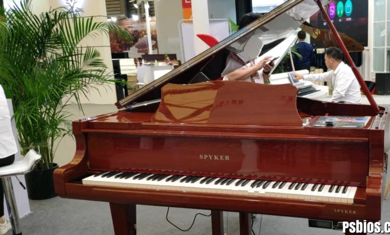 Poieno: Meaning, Origins, and Creative Philosophy